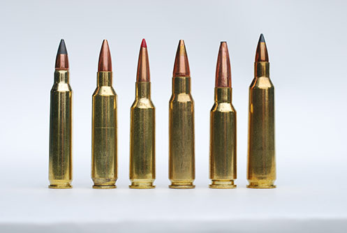 A Line Up of High Precision Rounds including the .224 Valkyrie