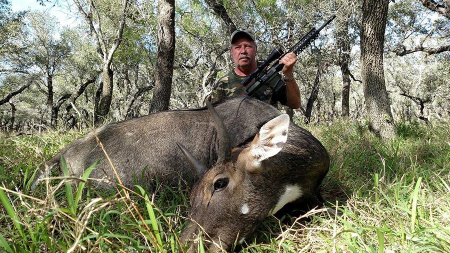 Bill Wilson Nilgai trophy