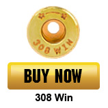 Buy 308 Winchester Now