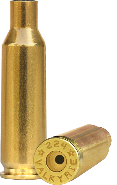 224 Valkyrie Brass