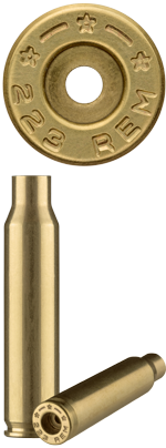 223 Remington Brass