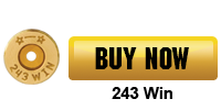 Buy 243 Winchester